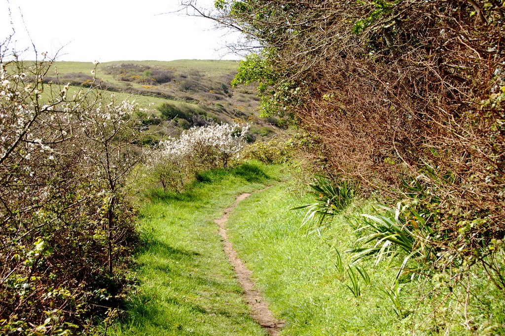 Biville: sentier côtier by Yanti & François Beauducel