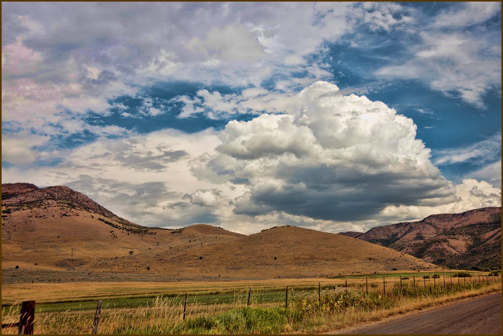 Ranch Lands by Brenton Cooper