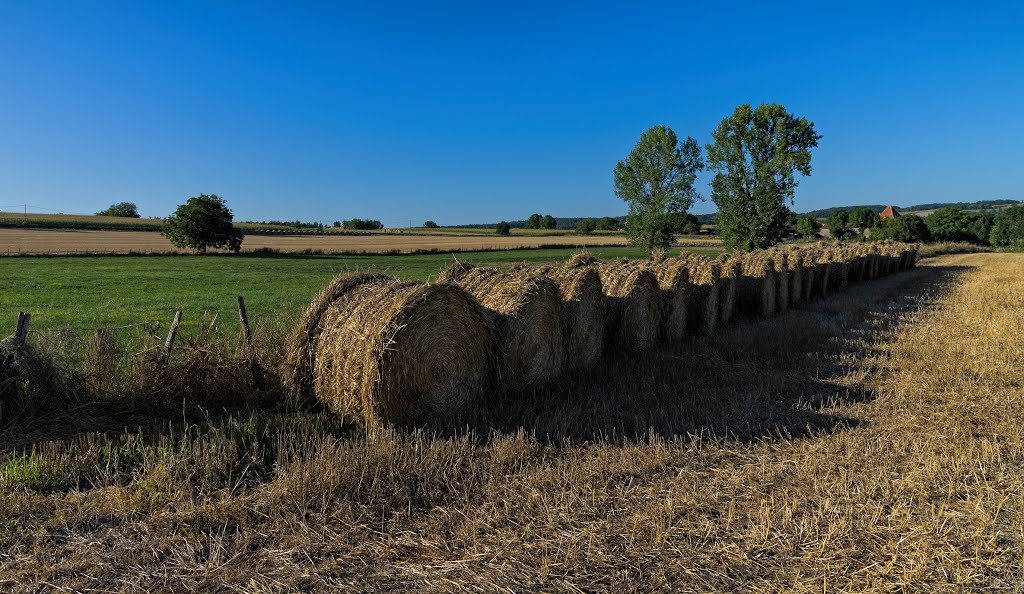 Awaiting collection near Pillac - Aug 2013 by Mike Stuckey