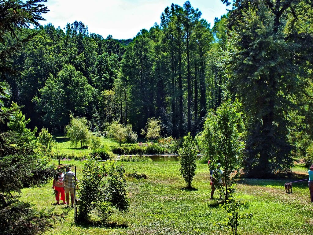 Budafai arborétum by Szekér