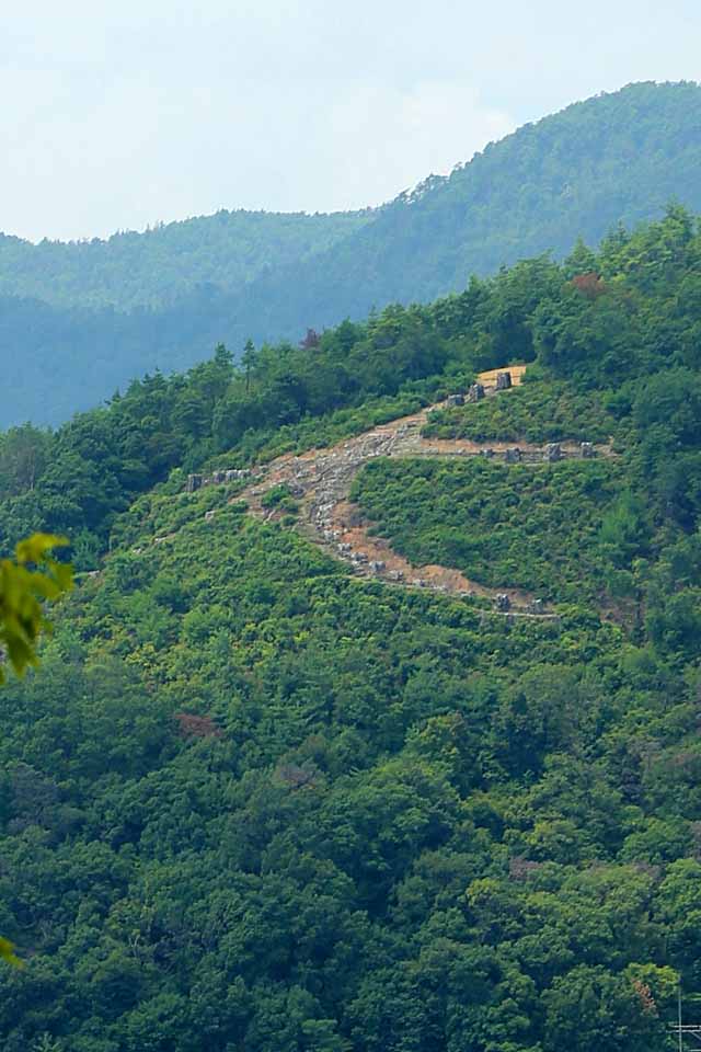 The 'Hidari-Daimonji' viewed from Mt. Funaoka-yama by nutakku