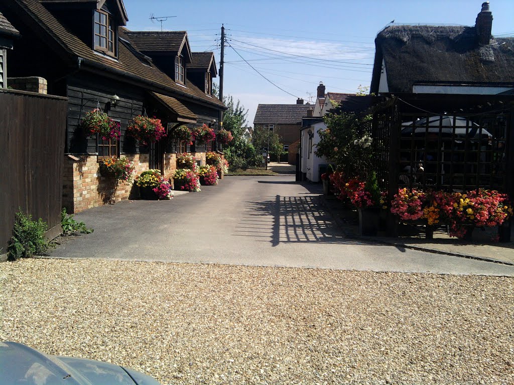 THE OLD THATCHED INN by gary10