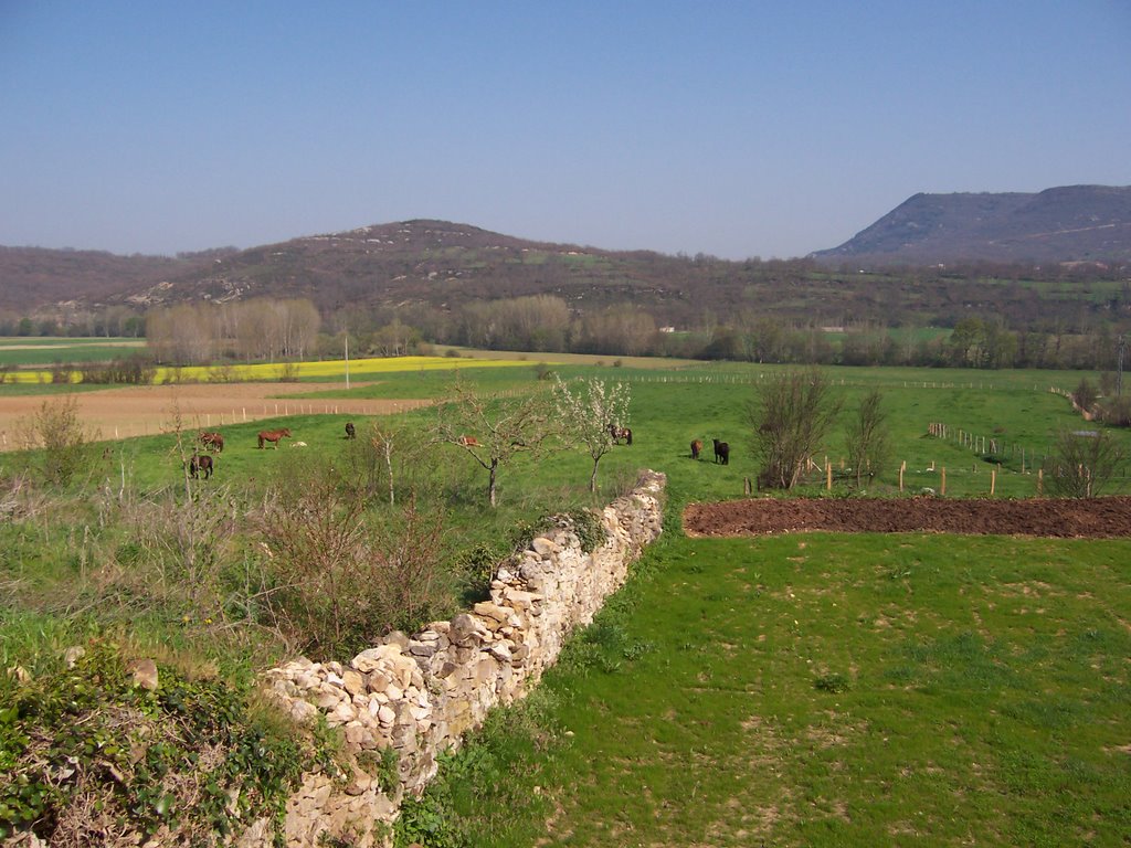 Pradera en San Martín (Valderredible) by José Luis Gómez López