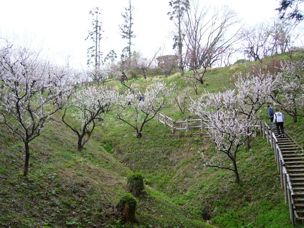 Ōsawa Hamada, Akita-shi, Akita-ken 010-1654, Japan by miyarin