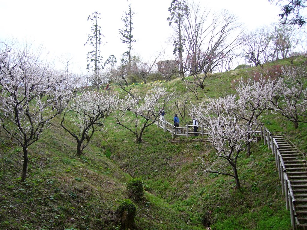 Ōsawa Hamada, Akita-shi, Akita-ken 010-1654, Japan by miyarin