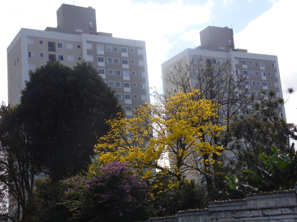 Poá, Verticalizada-sp by Eyci Borges