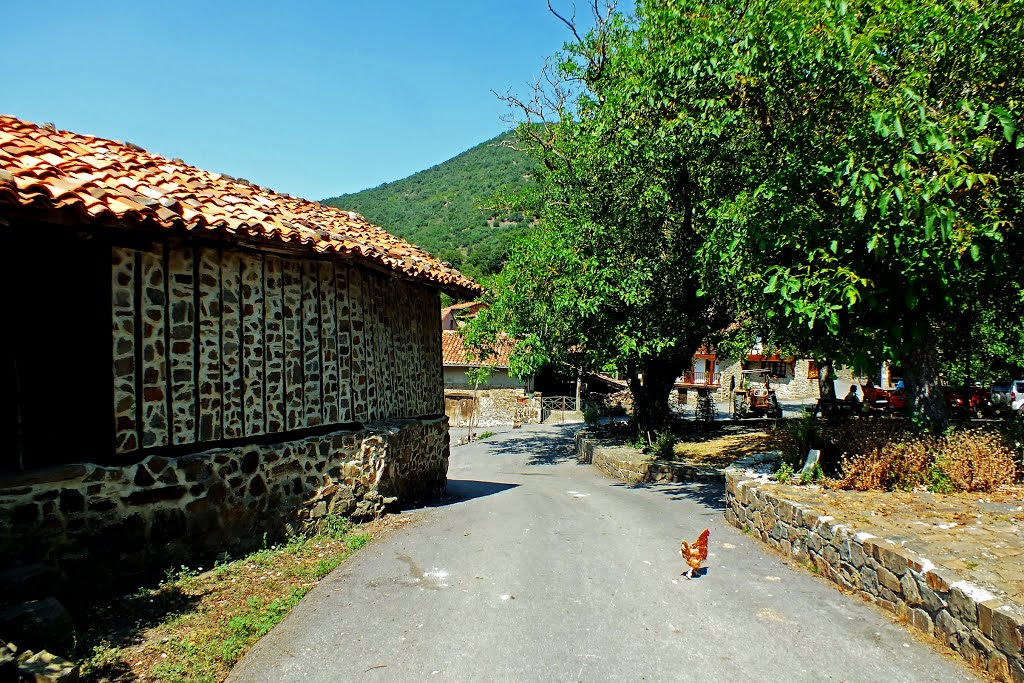 Tudes. Cantabria. by Valentín Enrique