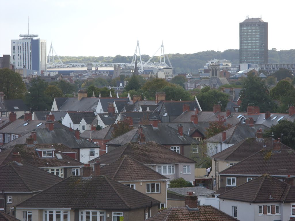 Cardiff City Centre and the Millenium Stadium. View from Church Tower. by Meic W Caerdydd