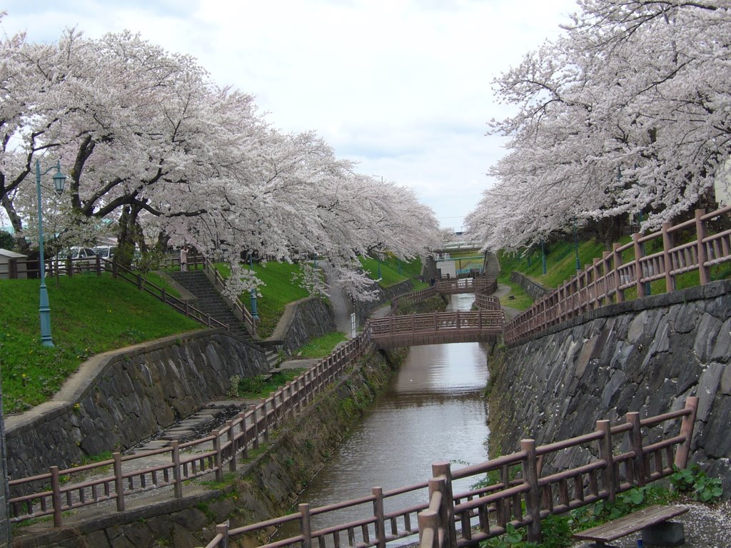 Arayaokawamachi, Akita, Akita Prefecture 010-1632, Japan by miyarin