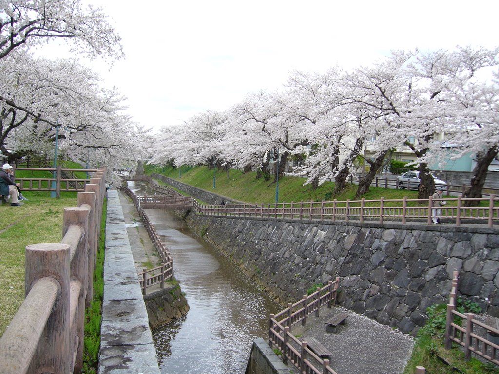 Okawa riverside zonal vicinity park [Unclassification] by miyarin