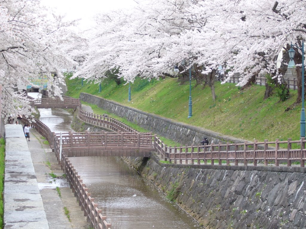 Okawa riverside zonal vicinity park [Unclassification] by miyarin