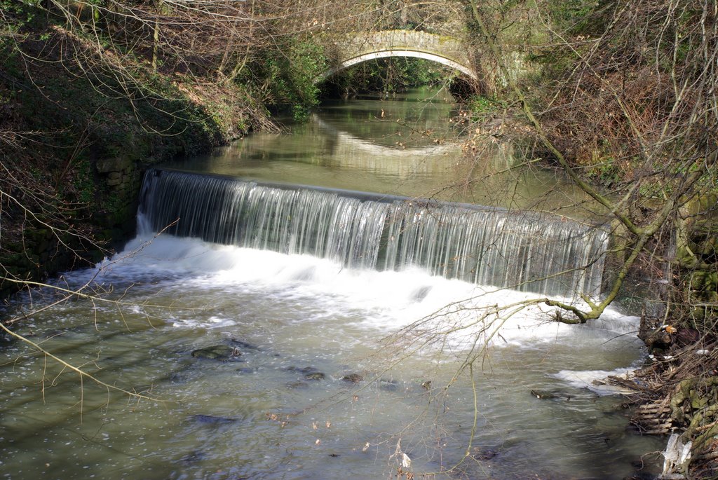 Jesmond Dene Waterfall II by inmh88