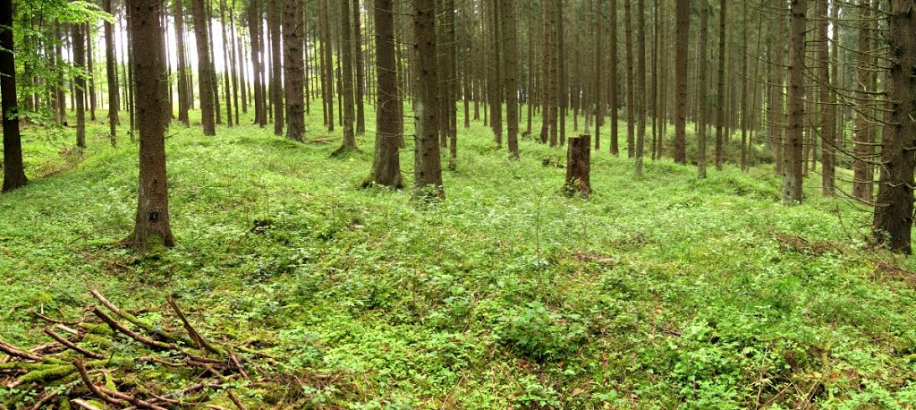 Römisches Limes-Kleinkastell Hinterer Seeberg (05/2013) by Astrodoc