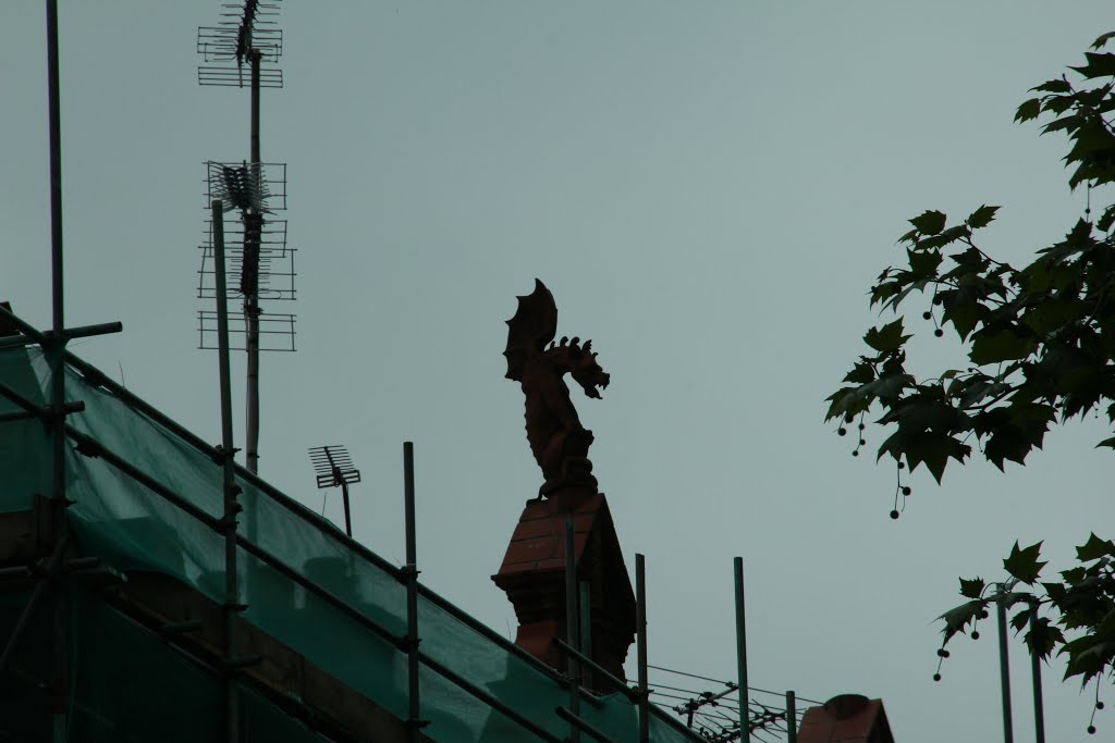 Dragon on the roof opening his fiery mouth by Diggory Venn