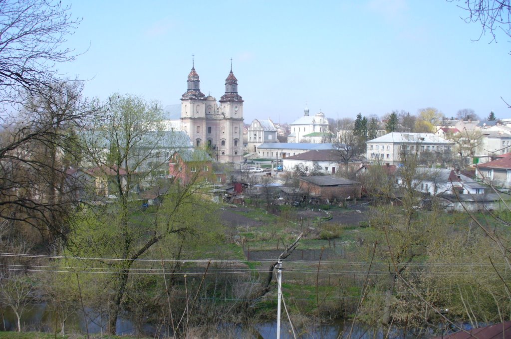 Widok Zbaraża z drogi na zamek by jacekpe