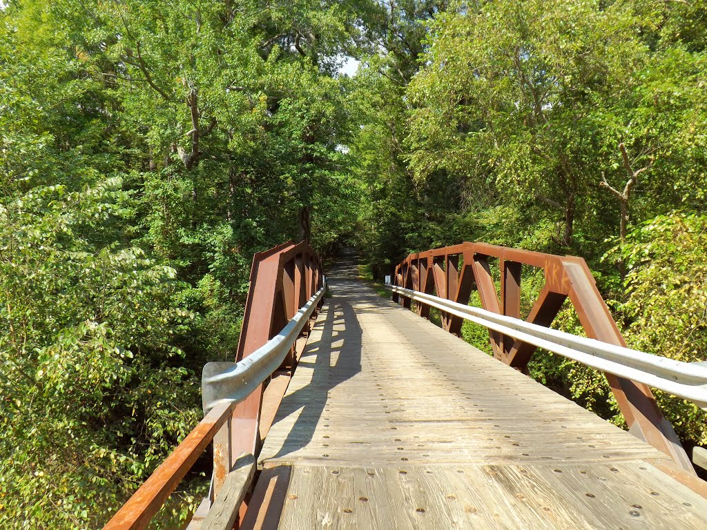 Davenport Bridge over the North Anna River, Hanover County, VA by r.w.dawson