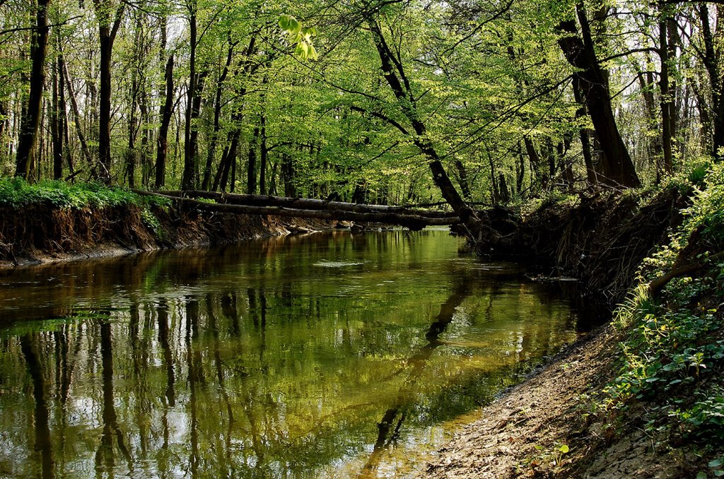 River Myjava/Rieka Myjava by Juraj Simek