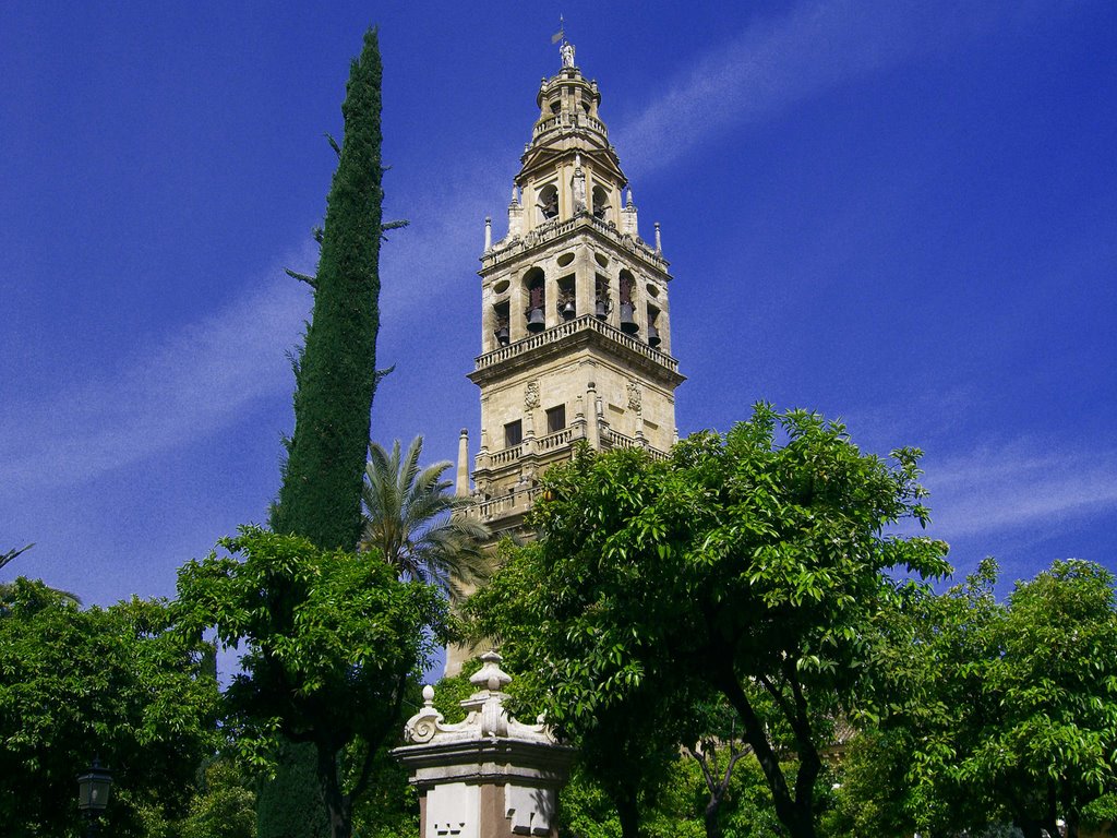 Patio de los naranjos by VERJAGA