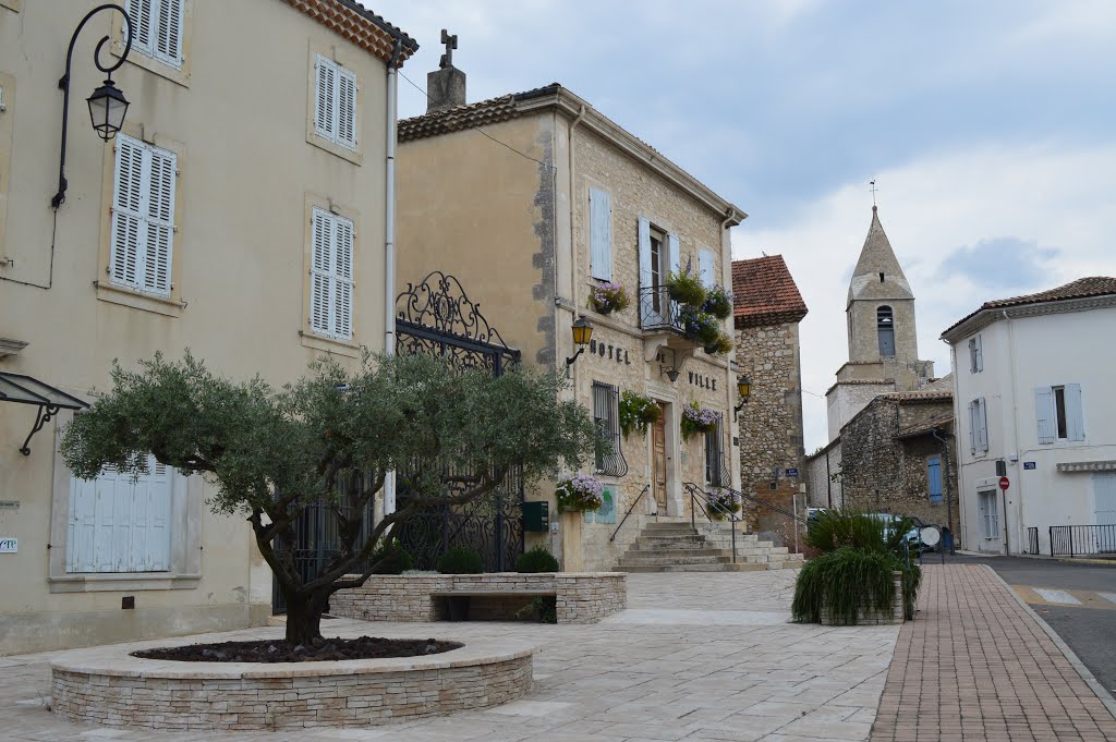 HOTEL DE VILLE DE DONZERE by Anna26