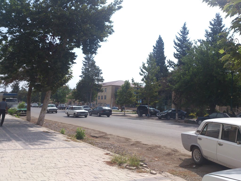 Foto, şadlıq sarayı, polis və s by Elgun Askerli