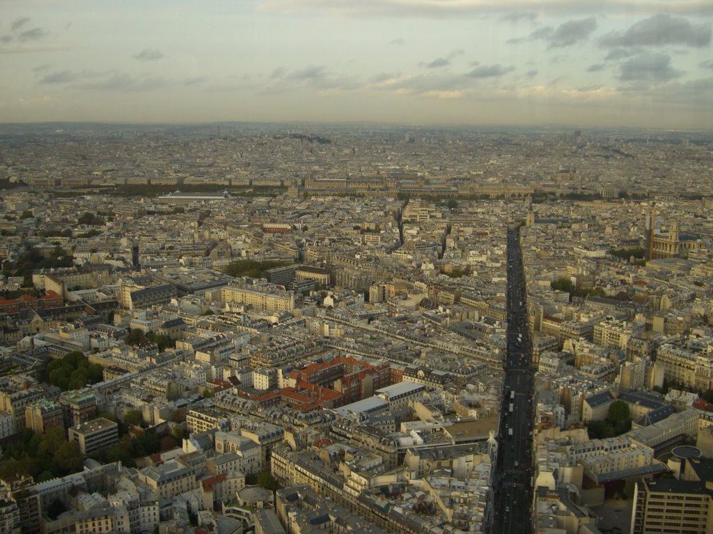 Bird's View 2 from Tour Montparnasse by axi46535