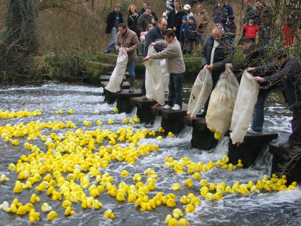 Batford Duck Race 2008 by Nicky Broadhurst