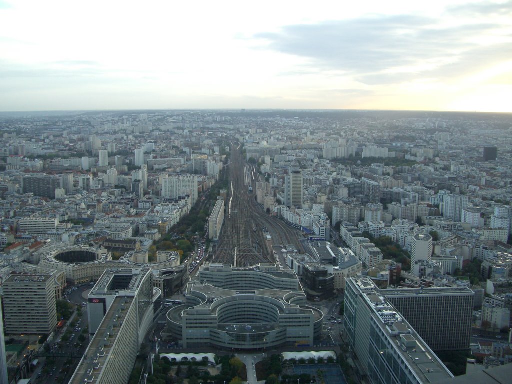 Bird's View 4 from Tour Montparnasse by axi46535