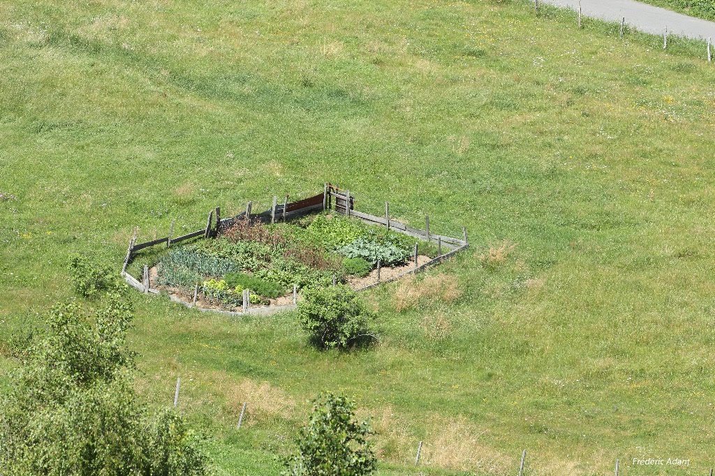 POTAGER AU MILIEU D'UNE PRAIRIE A CHASTEL SUR MURAT by Frédéric Adant