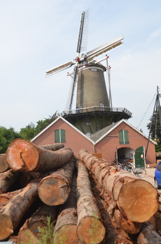 Wood sawing mill Agneta and shop at Ruurlo by Henq