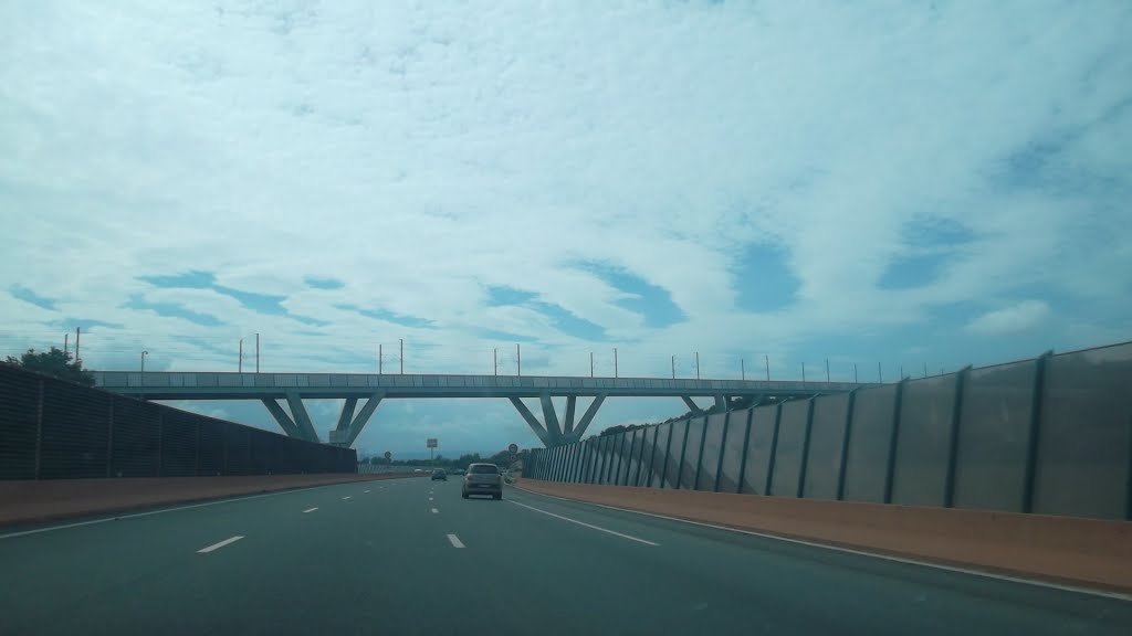 Viaduc de la Savoureuse (LGV Rhin-Rhône), Autoroute A36 (La Comtoise) by A.L. Photography