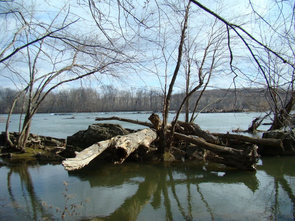 Mclean, Potomac River by Koshkin Son