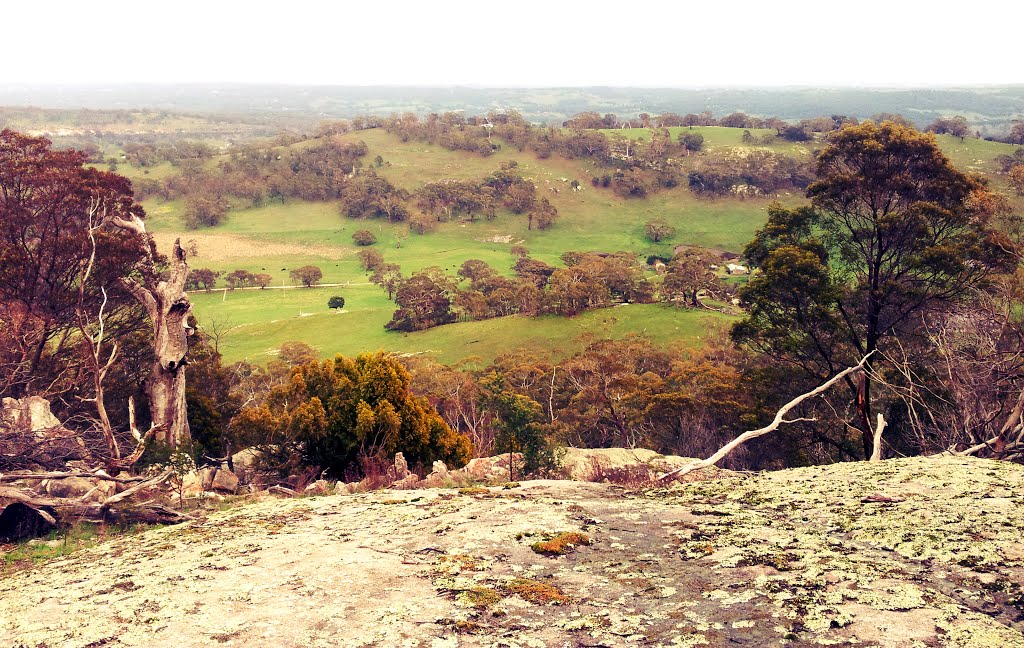 Ed's Seat on Mt Alexander by WalkingDroid