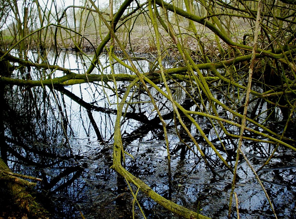 Nationaal Park De Groote Peel, Ospel by uaf