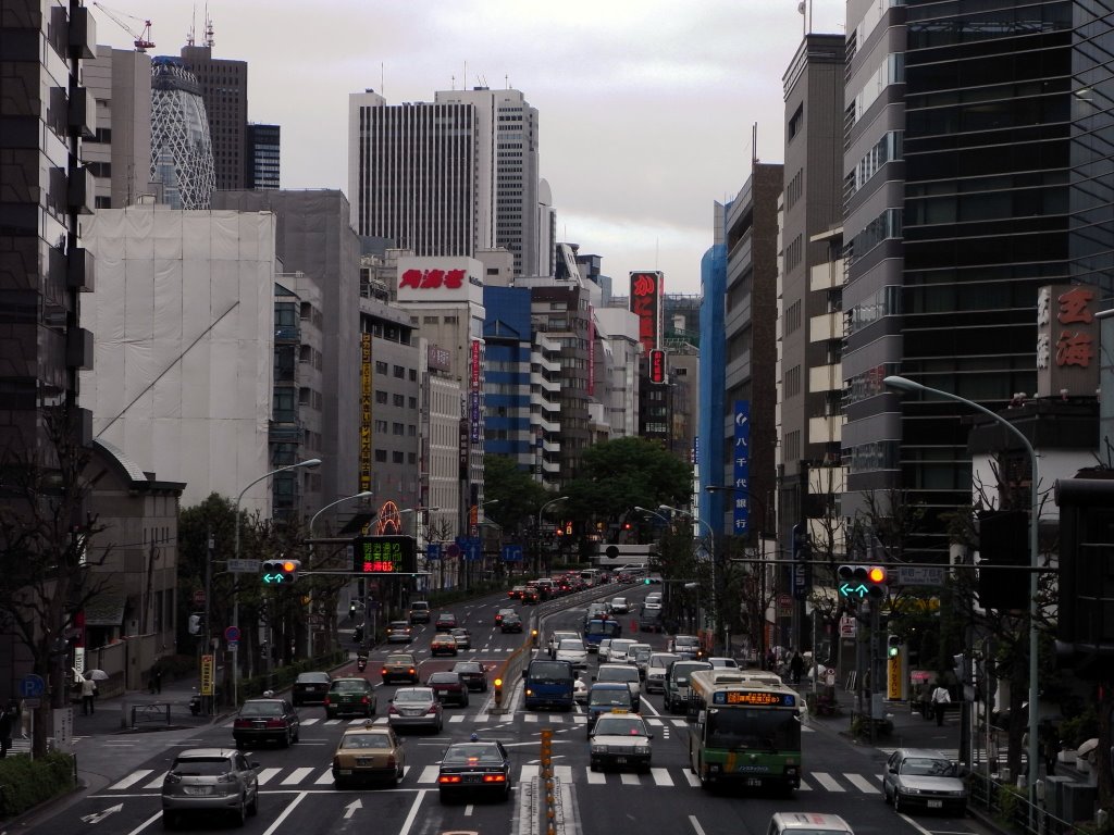 Looking West from Yasukuni Dori by taoy