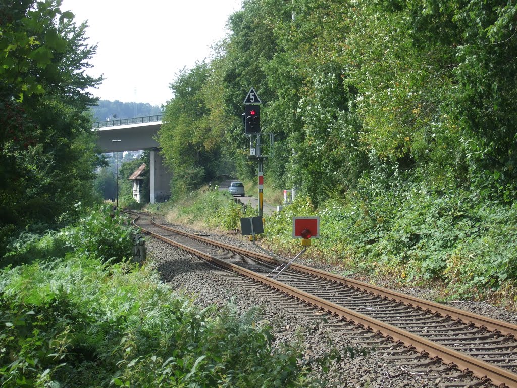 Einfahrsignal 61F Dieringhausen und Haltscheiben by Hurrug