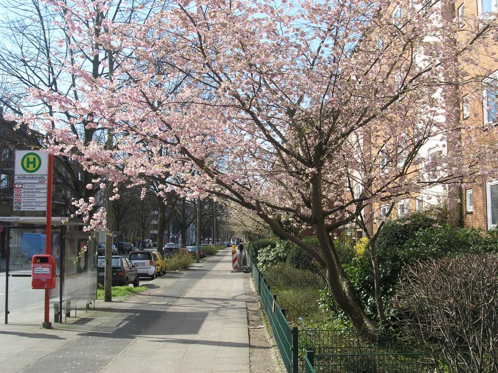 Frühgangsboten am Hufnerstraßen-Nordende by ••• HaHeBa (HH) •••