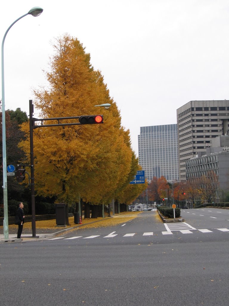 Tokyo government district by Emmerich