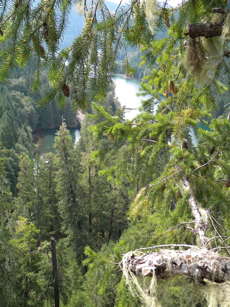 Looking up Blue River reservoir from tree canopy by Jake Kleinknecht