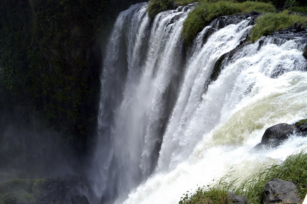 Salto de Eyipantla by J. Ramos