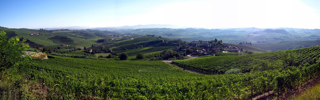 Dintorni di Barolo by Pogetta Giambattista