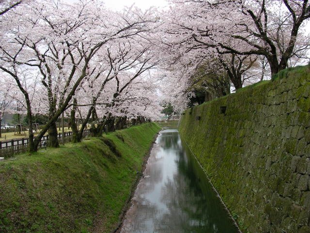 Kanazawa Castle Park by Yone_yan_kun