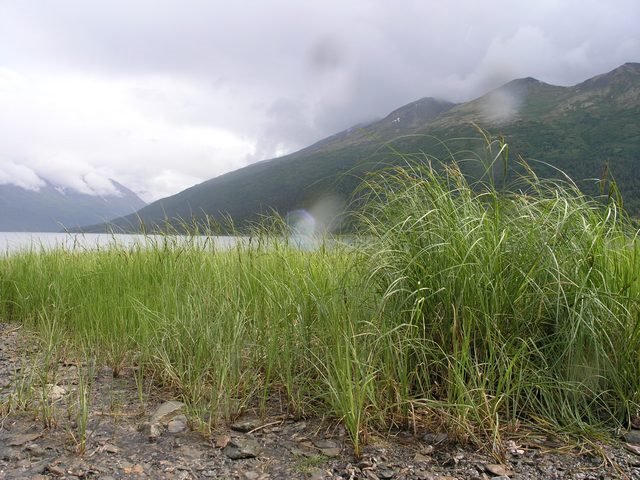 Lago Eklutna by jlagchu