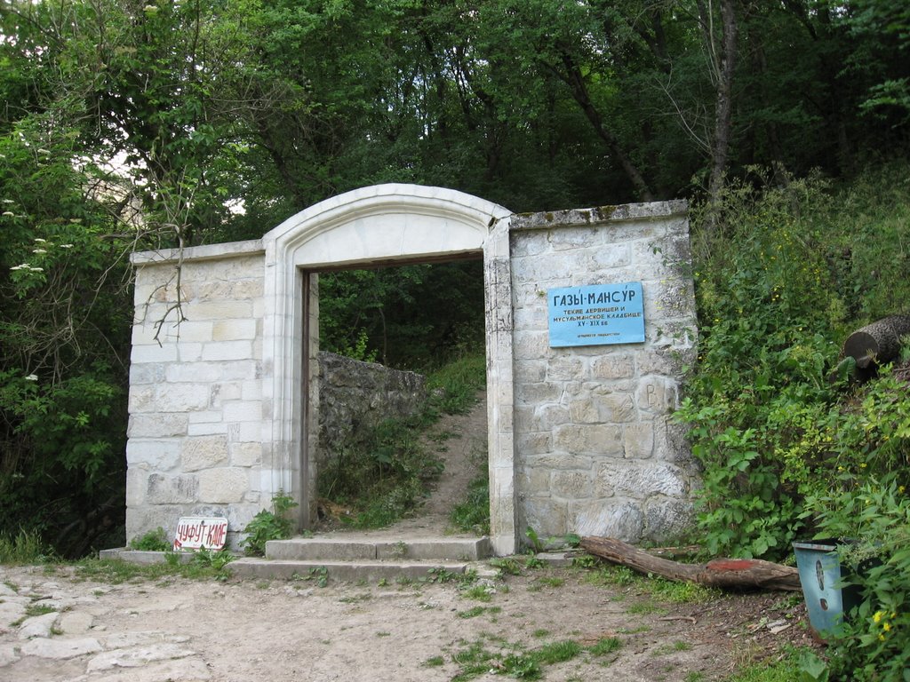 Entrance to Gazi Mansur, ancient muslim cemetry by Dmitriy Tkachenko