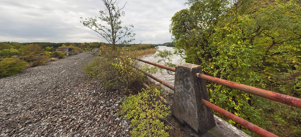 Abandoned Lackawanna Railroad Bridge across the Deleware River by zerega