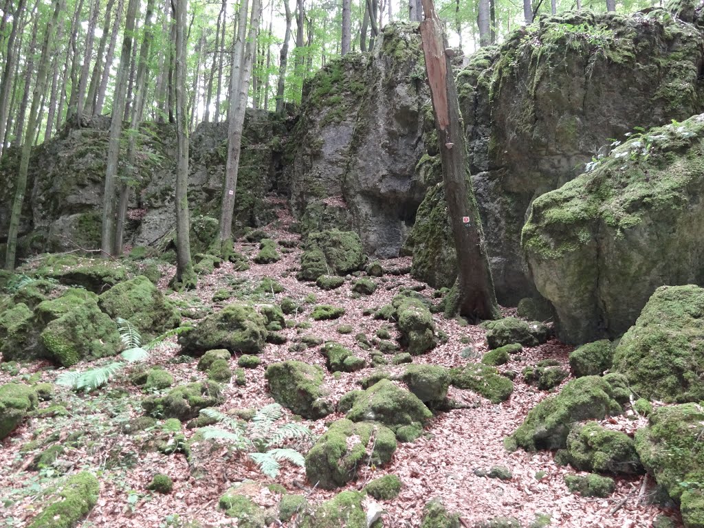 Felsen- und Höhlensteig bei Peilstein by peer1470