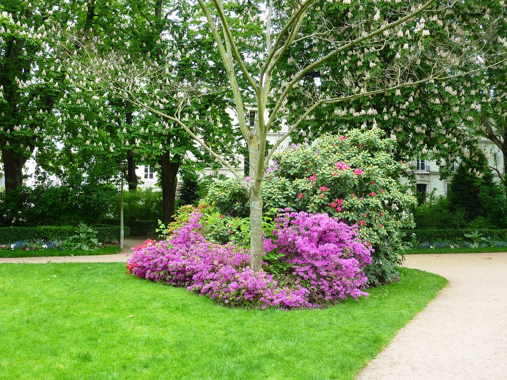 FRANCE TOURS Le jardin des Prébendes by denve l'ancien