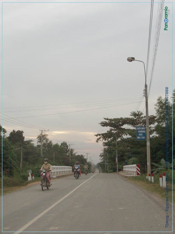 Cầu - Cây Khô - Bridge by Vietnam - Paracels