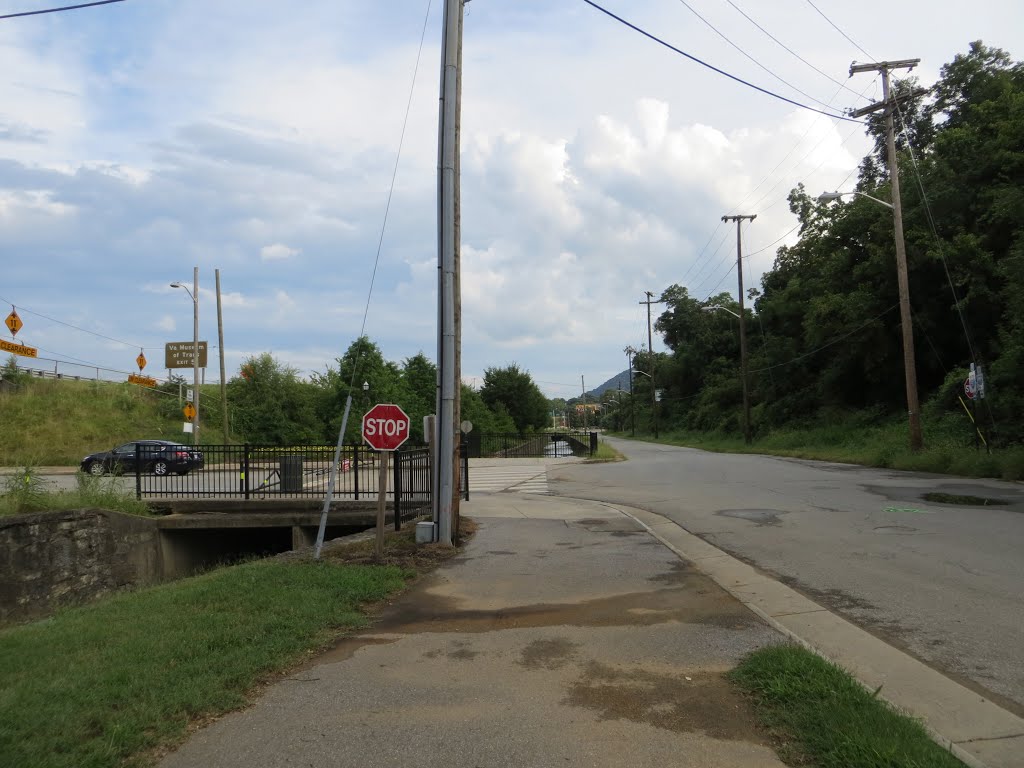 Lick Run Greenway by Adam Elmquist