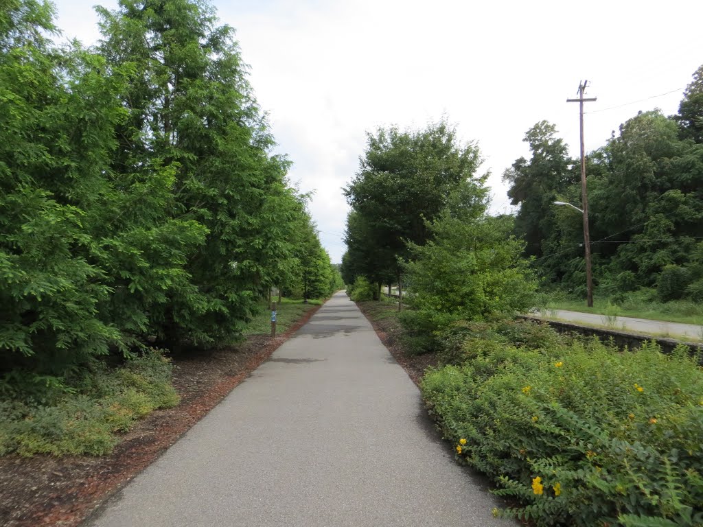 Lick Run Greenway by Adam Elmquist