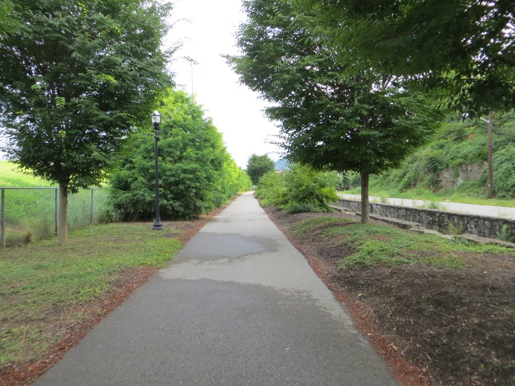 Lick Run Greenway by Adam Elmquist